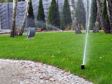 Summer Watering Schedule: How Often Should You Run Your Sprinklers?