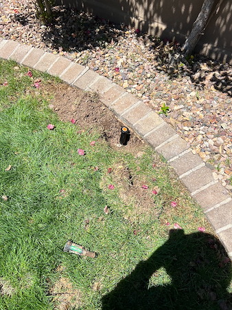 When Should You Check Your Yard for Drainage Problems?