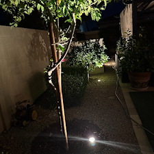 Another-fine-low-voltage-landscape-accent-lighting-system-installation-in-Litchfield-Park-Az 1