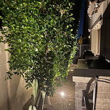 Another-fine-low-voltage-landscape-accent-lighting-system-installation-in-Litchfield-Park-Az 6