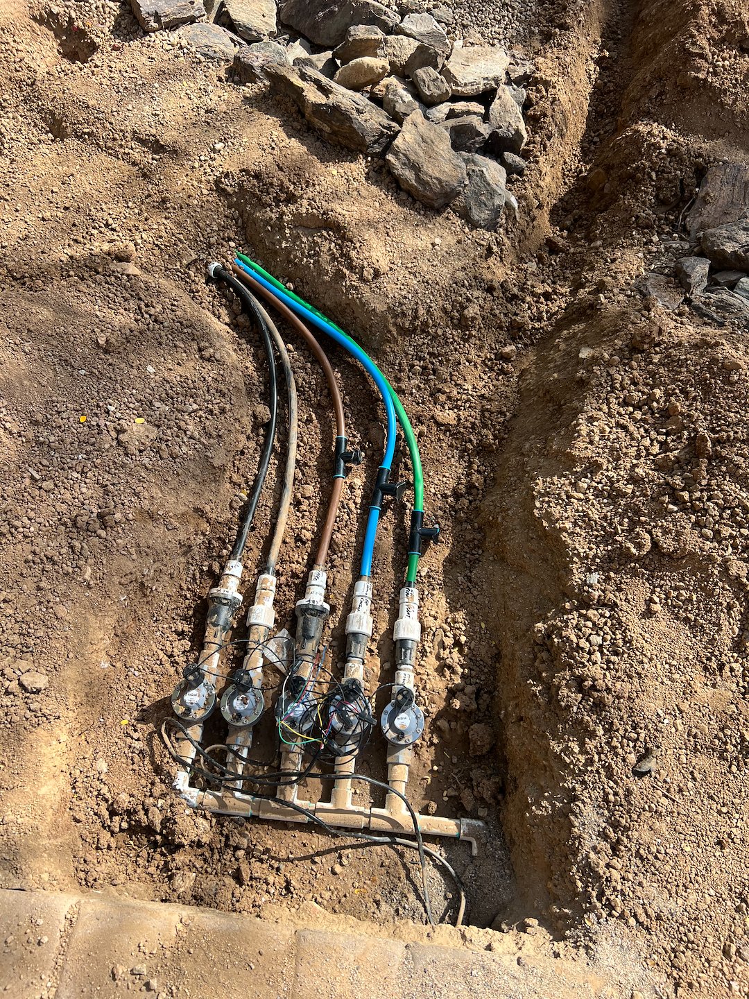 Landscape plant drip irrigation system installation in Peoria Az Thumbnail