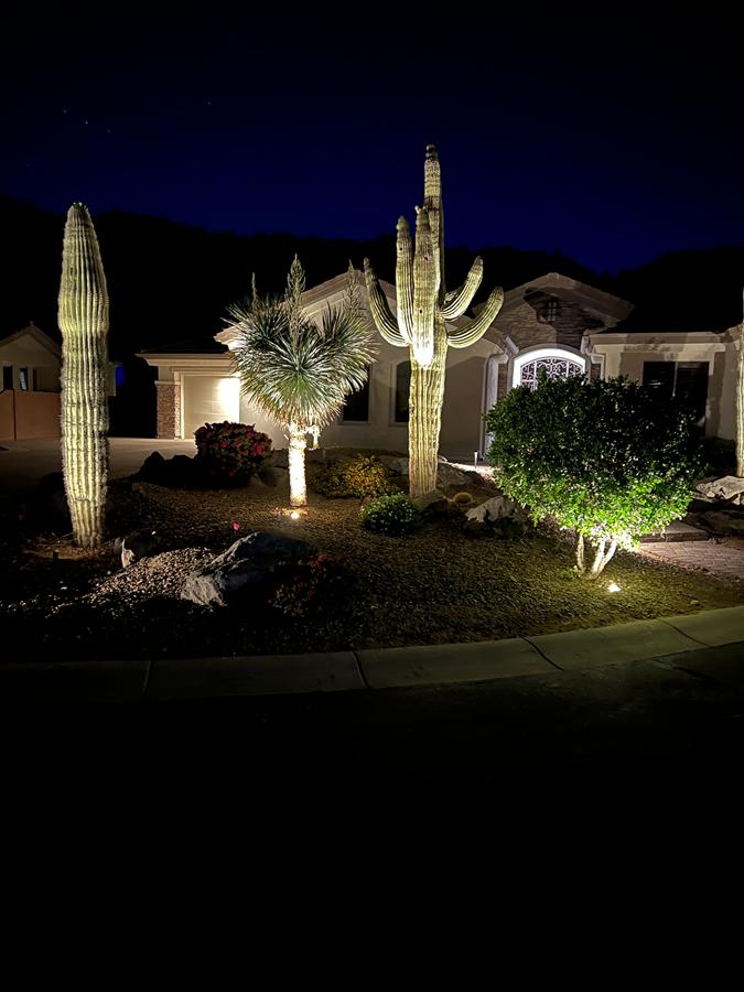 Low Voltage Accent Lighting in Anthem, AZ Thumbnail