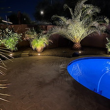 Low-voltage-landscape-accent-lighting-1 6