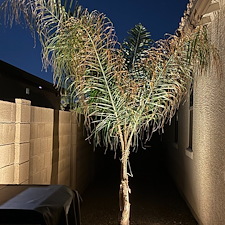 Low-voltage-landscape-accent-lighting-1 10