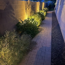 Low-voltage-landscape-accent-lighting-1 0
