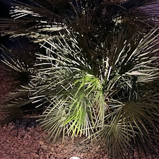 Low-voltage-landscape-accent-lighting-1 1