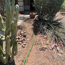 Poly Ethylene Drip System Installation in Anthem, AZ 1