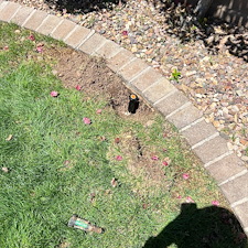 Professional-grass-Hunter-MP-rotator-mechanical-nozzle-installation-in-Anthem-Az 0