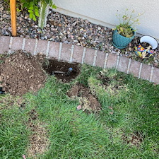 Professional-grass-Hunter-MP-rotator-mechanical-nozzle-installation-in-Anthem-Az 1
