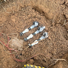 Professional-landscape-plant-drip-irrigation-system-installation-in-Peoria-Az 0