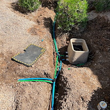 Professional-landscape-plant-drip-irrigation-system-installation-in-Peoria-Az 1