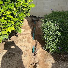 Professional-landscape-plant-drip-irrigation-system-installation-in-Peoria-Az 3