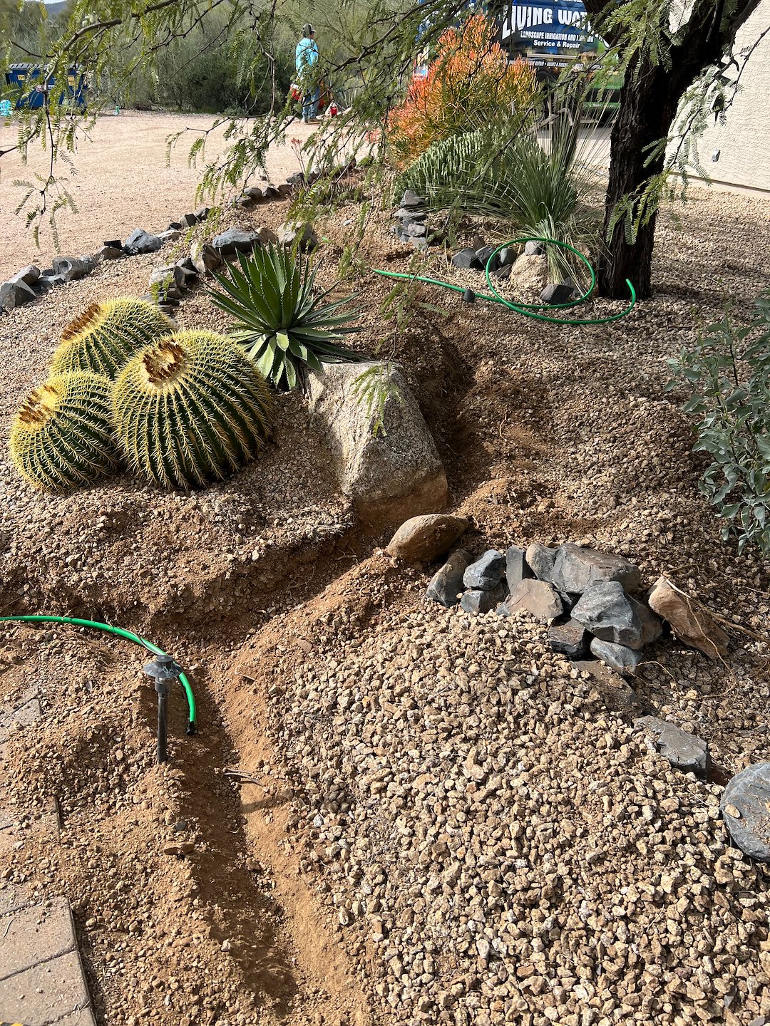 Professional landscape plant drip irrigation installation in Cave Creek Az (1) Thumbnail