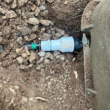 Professional-landscape-plant-drip-irrigation-installation-in-Cave-Creek-Az-1 0