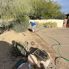 Professional-landscape-plant-drip-irrigation-installation-in-Cave-Creek-Az-1 1