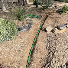 Professional-landscape-plant-drip-irrigation-installation-in-Cave-Creek-Az-1 4