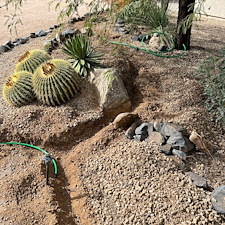 Professional-landscape-plant-drip-irrigation-installation-in-Cave-Creek-Az-1 6
