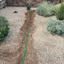 Professional-landscape-plant-drip-irrigation-installation-in-Cave-Creek-Az-1 7