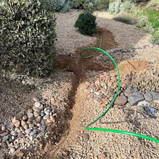 Professional-landscape-plant-drip-irrigation-installation-in-Cave-Creek-Az-1 11