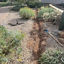 Professional-landscape-plant-drip-irrigation-installation-in-Cave-Creek-Az-1 13