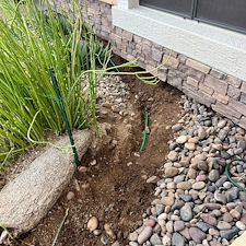 Professional-landscape-plant-drip-irrigation-installation-in-Cave-Creek-Az-1 14