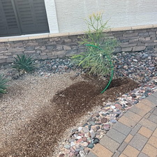 Professional-landscape-plant-drip-irrigation-installation-in-Cave-Creek-Az-1 18