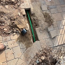 Professional-landscape-plant-drip-irrigation-installation-in-Cave-Creek-Az-1 19