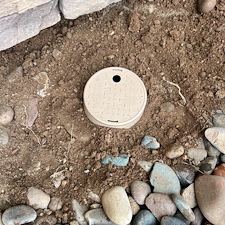 Professional-landscape-plant-drip-irrigation-installation-in-Cave-Creek-Az-1 20