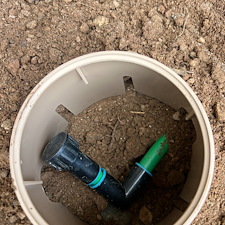 Professional-landscape-plant-drip-irrigation-installation-in-Cave-Creek-Az-1 21