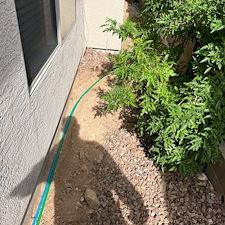 Professional-landscape-plant-drip-irrigation-system-installation-in-Anthem-Az 5