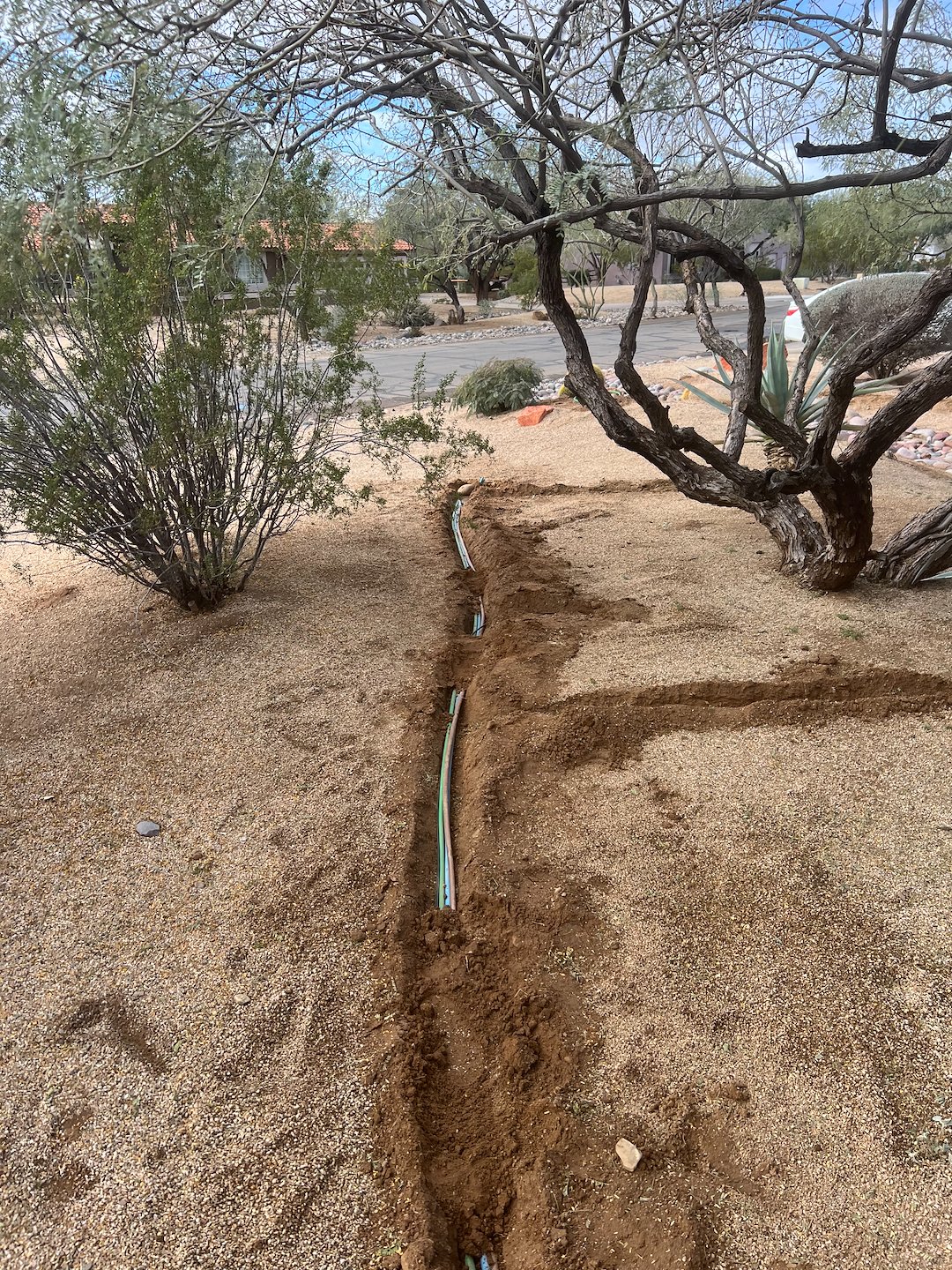 Professional landscape plant drip irrigation installation in Desert Hills Az Thumbnail