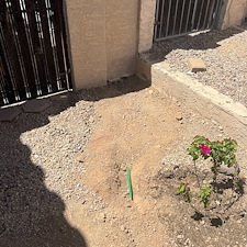 Professional-landscape-plant-drip-irrigation-system-installation-in-Scottsdale-Az 5