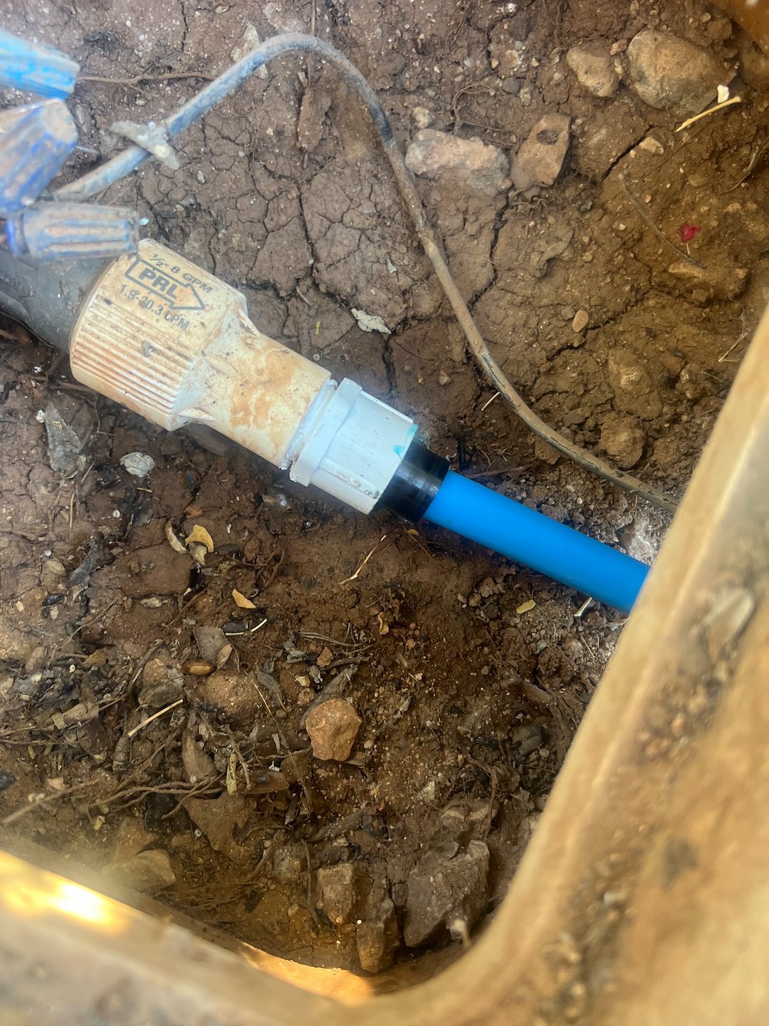 Professional landscape plant drip irrigation system installation in Sun City Az Thumbnail