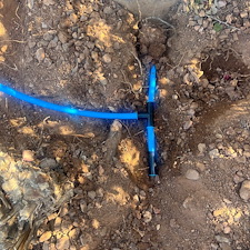 Professional-landscape-plant-drip-irrigation-system-installation-in-Sun-City-Az 2