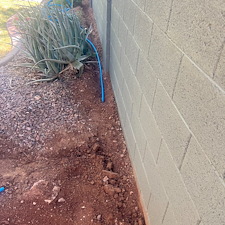 Professional-landscape-plant-drip-irrigation-system-installation-in-Sun-City-Az 0
