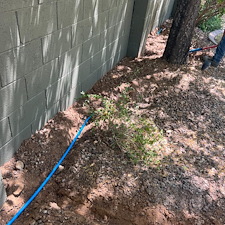 Professional-landscape-plant-drip-irrigation-system-installation-in-Sun-City-Az 9
