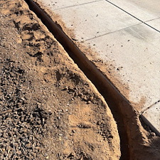 Professional-landscape-plant-drip-irrigation-system-in-Phoenix-Az 1