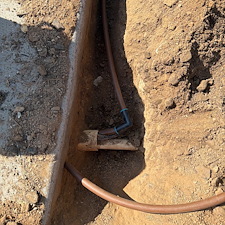 Professional-landscape-plant-drip-irrigation-system-in-Phoenix-Az 0