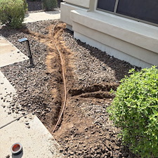 Professional-landscape-plant-drip-irrigation-system-in-Phoenix-Az 3