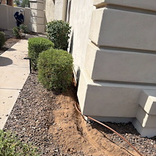 Professional-landscape-plant-drip-irrigation-system-in-Phoenix-Az 2