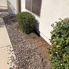 Professional-landscape-plant-drip-irrigation-system-in-Phoenix-Az 4