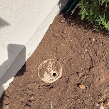 Professional-landscape-plant-drip-irrigation-system-in-Phoenix-Az 6