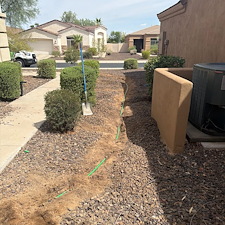 Professional-landscape-plant-drip-irrigation-system-in-Phoenix-Az 9