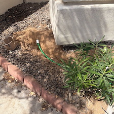 Professional-landscape-plant-drip-irrigation-system-in-Phoenix-Az 8