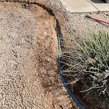 Professional-landscape-plant-drip-irrigation-installation-in-Cave-Creek-Az 2
