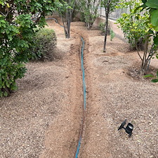 Professional-landscape-plant-drip-irrigation-installation-in-Cave-Creek-Az 4