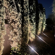 Professional-low-voltage-accent-lighting-installation-in-the-Troon-community-in-Scottsdale 4
