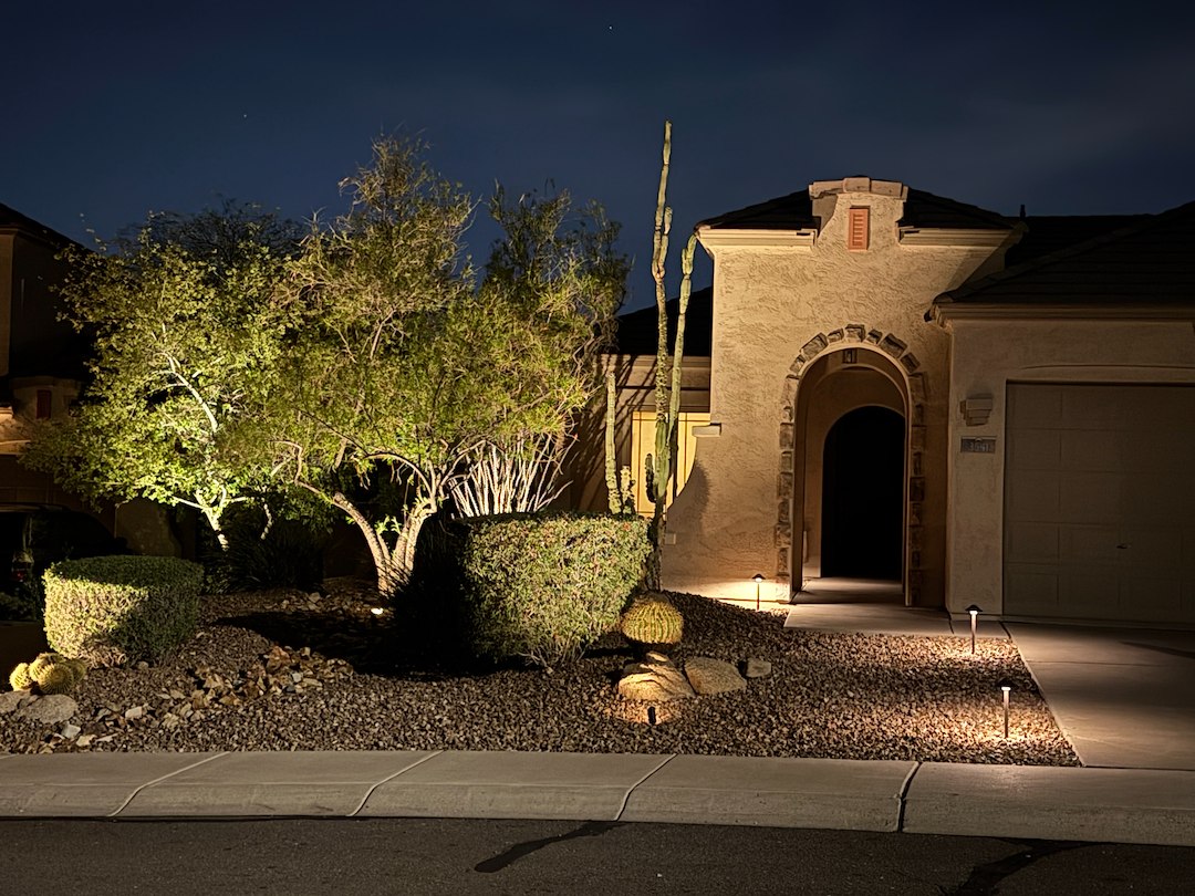 Professional low voltage landscape accent lighting installation in Anthem Az