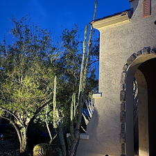 Professional-low-voltage-landscape-accent-lighting-installation-in-Anthem-Az 1