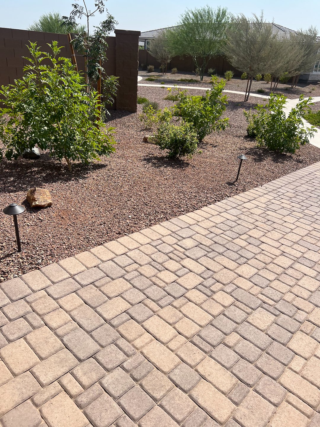 Professional low voltage landscape accent lighting installation in Surprise Az Thumbnail